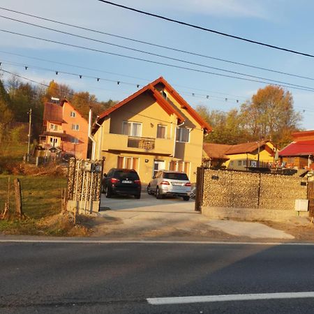 Villa Steluta Călimăneşti Exterior foto